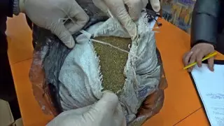 Крупную партию наркотиков прятали в образовательном центре в Семее