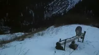 Самую любопытную рысь в Казахстане сняли на видео на Кольсайских озерах