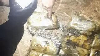 Из Кыргызстана в Казахстан пытались провезти 23 килограмма наркотиков