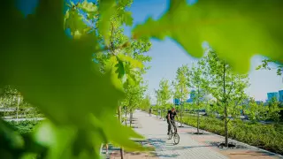 Генуборка столицы: 16 и 23 апреля пройдут масштабные городские субботники