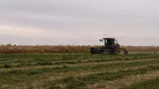 Сельский аким в Кызылординской области препятствовала получению земельного участка