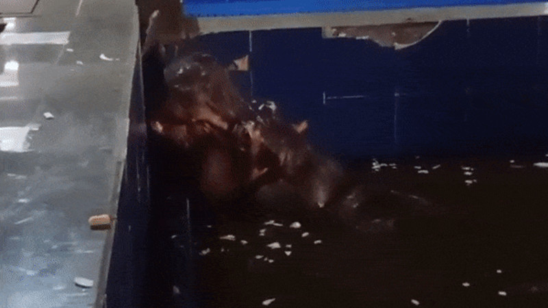 Кадры из видео