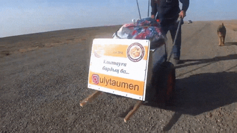 Кадры из видео instagram.com/ulytaumen