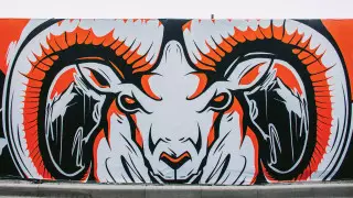 Яркое будущее: галерея стрит-арта появилась в Алматы