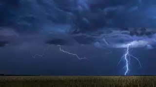 Грозы и шквалистый ветер. О погоде на три дня рассказали синоптики