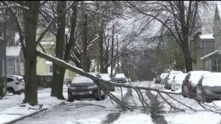 Снежный шторм оставил без света почти 300 тысяч человек в США