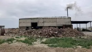 Гору из останков животных нашли в Алматинской области