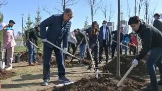 Токаев посадил дерево в Ботаническом саду