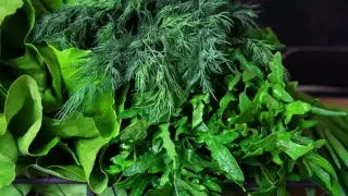 Биологи нашли в органических овощах опасные бактерии