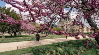 8 заболевших коронавирусом зарегистрировано за сутки в Казахстане