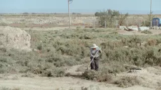 Названы самые бедные регионы Казахстана