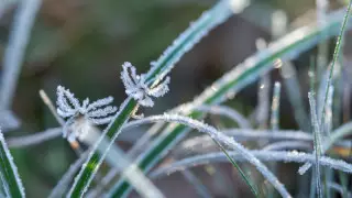 Похолодание ожидает казахстанцев в начале мая
