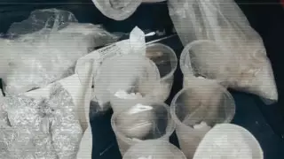 Спецоперация МВД Казахстана и России: изъято более 260 килограммов наркотиков