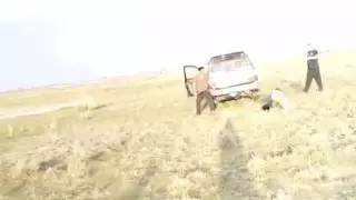 Талдыкорганец сбил на внедорожнике и жестоко избил работника фермы