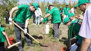 300 саженцев морозостойкой сакуры украсили Президентский парк столицы