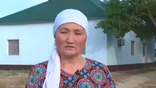 Необычный бизнес активно развивают в Туркестанской области