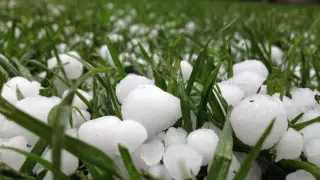 Дожди с градом прогнозируют в Казахстане