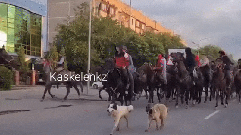 Кадры из видео