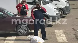 Ребенок снял на видео жестокий отлов собак в Уральске