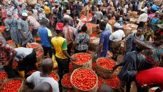 Обезьянья оспа: казахстанцам посоветовали не посещать Африку