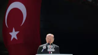 Эрдоган заявил о подготовке Турцией новых военных операций на южных границах