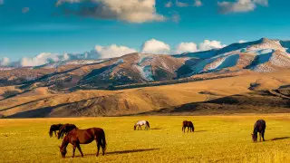 О правилах посещения туристских локаций ВКО рассказали в КНБ