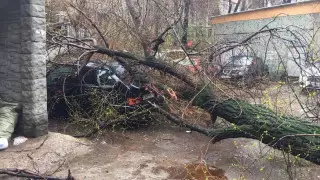 Алматинцев попросили не выходить на улицу в выходные из-за грозы