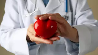 Ученые смогли найти "восстанавливающие" клетки сердца