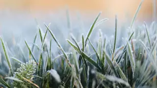 Заморозки ожидаются в Казахстане