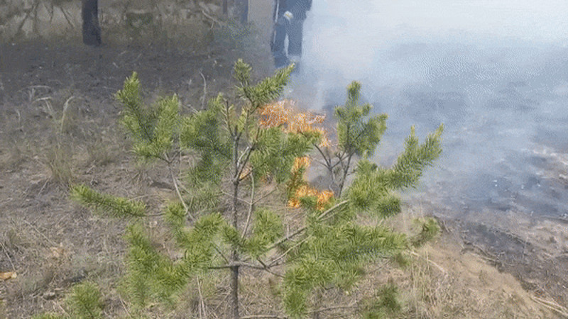 Кадры из видео