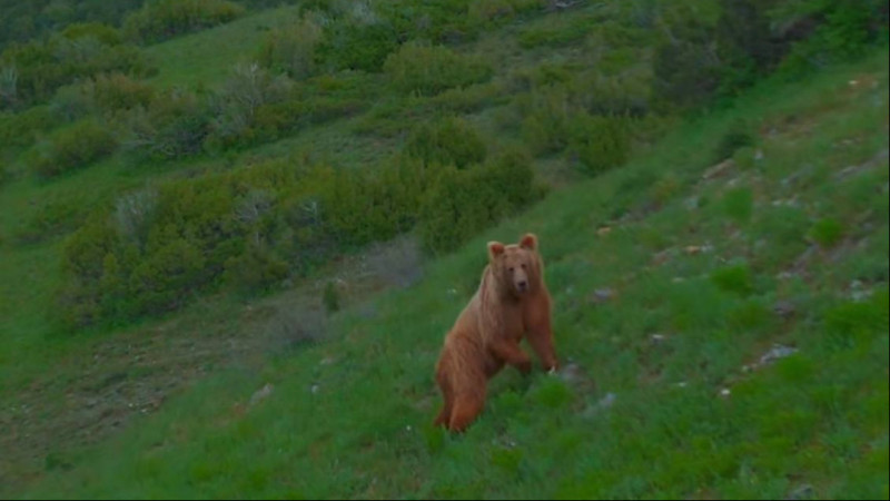 Скриншот видео с Instagram.сom/adilet_rakhmetolla