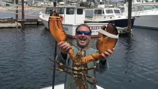 Дайвер рассказал, что был проглочен китом и выжил