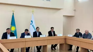 Партия Amanat возвращает пастбища населению