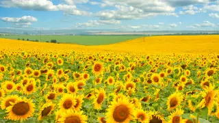 Жара до 35 градусов ожидается в Казахстане