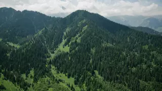 Пограничники предупредили туристов в Алматы