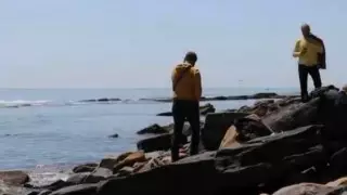 Кости ихтиозавра возрастом более 230 миллионов лет нашли ученые