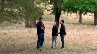 Заложенный Жангир-ханом уникальный сосновый бор может исчезнуть на западе Казахстана