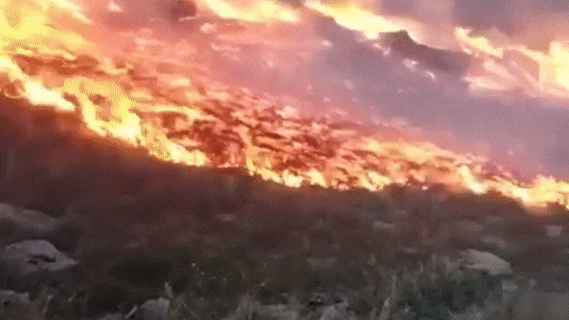 Кадры из видео