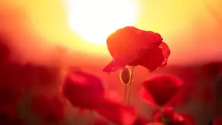 До 45 градусов: очень сильную жару прогнозируют в Казахстане