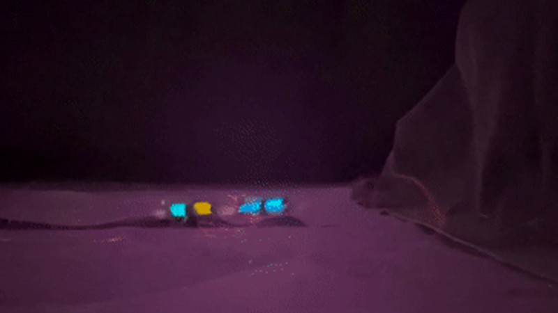 Кадры из видео