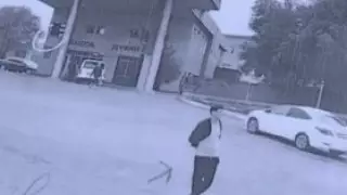 Фальшивый дальнобойщик обманул на миллионы несколько фирм в Казахстане