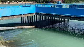 Кишечную палочку нашли в Сайране в Алматы