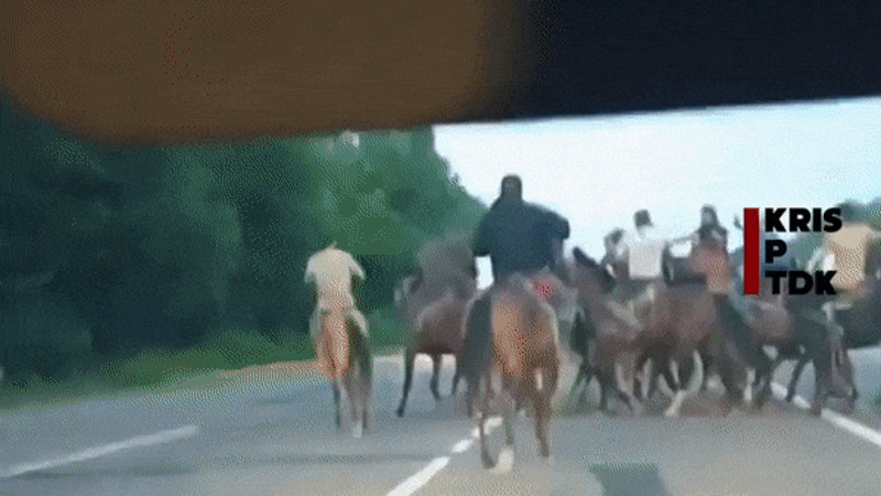 Кадры из видео