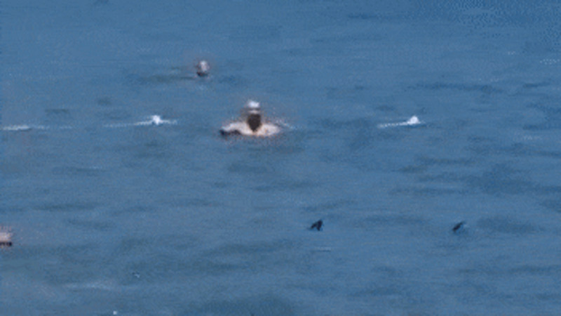 Кадры из видео