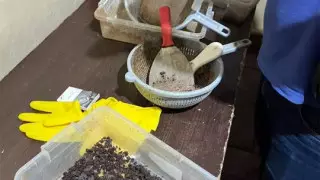 КНБ провел спецоперацию по ликвидации международного наркосиндиката