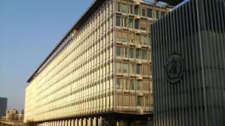 ВОЗ зафиксировала случаи заражения детей оспой обезьян