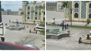 Полицейский открыл стрельбу по питбультерьеру в Таразе