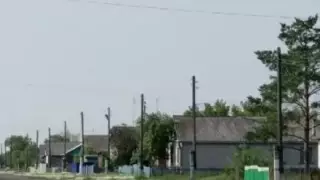 Привязал к дереву, посадил в погреб: мужчина держит в страхе село в СКО