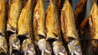 Врач назвал опасные для употребления виды рыбы