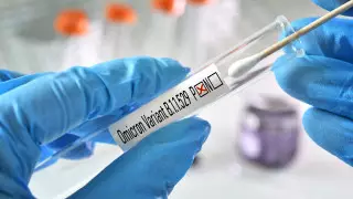 Новый подвид "омикрона" обнаружили в Нидерландах